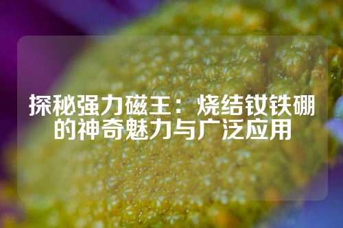 探秘強(qiáng)力磁王：燒結(jié)釹鐵硼的神奇魅力與廣泛應(yīng)用