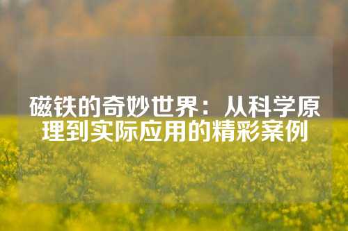 磁鐵的奇妙世界：從科學原理到實際應用的精彩案例