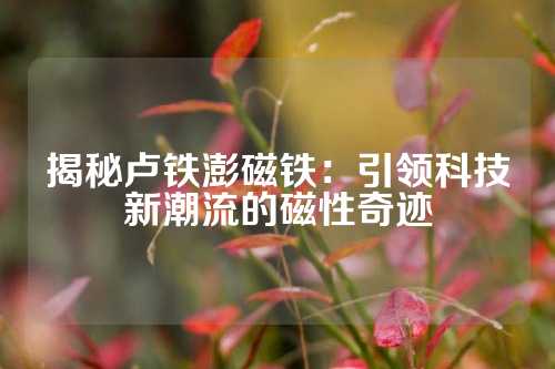揭秘盧鐵澎磁鐵：引領(lǐng)科技新潮流的磁性奇跡
