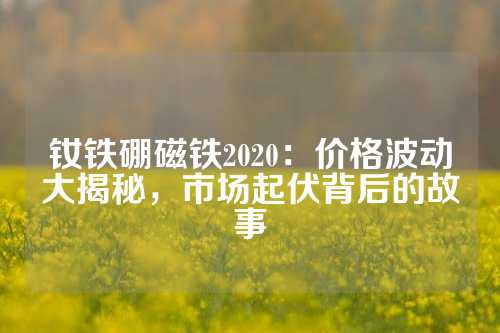 釹鐵硼磁鐵2020：價格波動大揭秘，市場起伏背后的故事