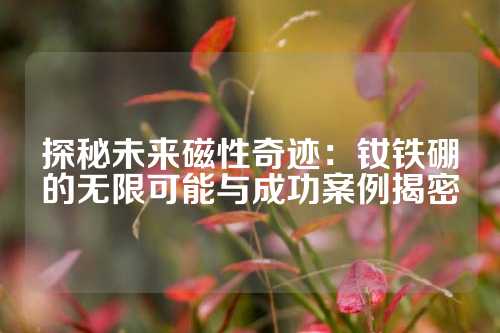 探秘未來(lái)磁性奇跡：釹鐵硼的無(wú)限可能與成功案例揭密