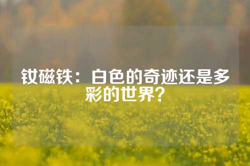 釹磁鐵：白色的奇跡還是多彩的世界？